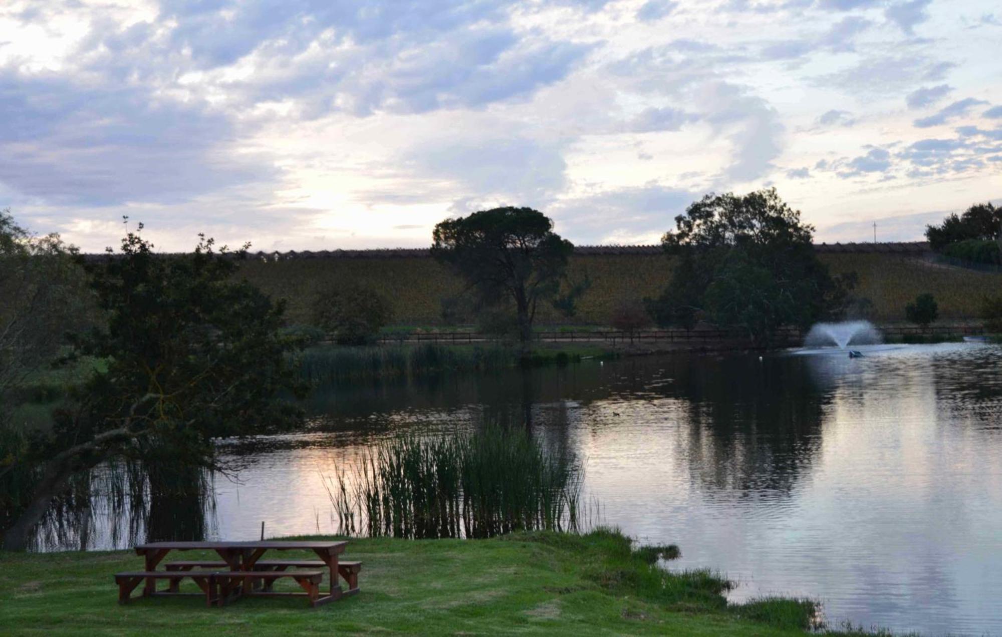 Under Oaks Guesthouse Paarl Quarto foto